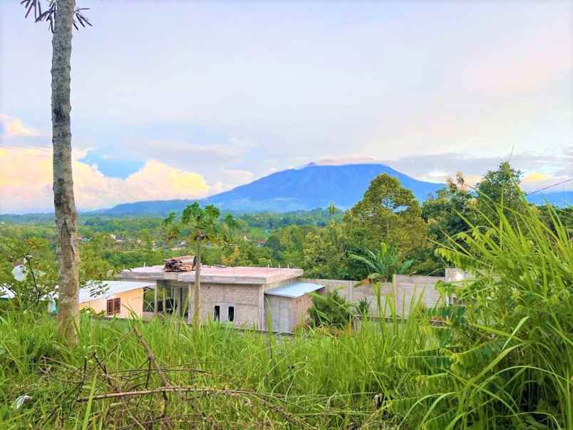 dijual tanah kebun buah karangpandan