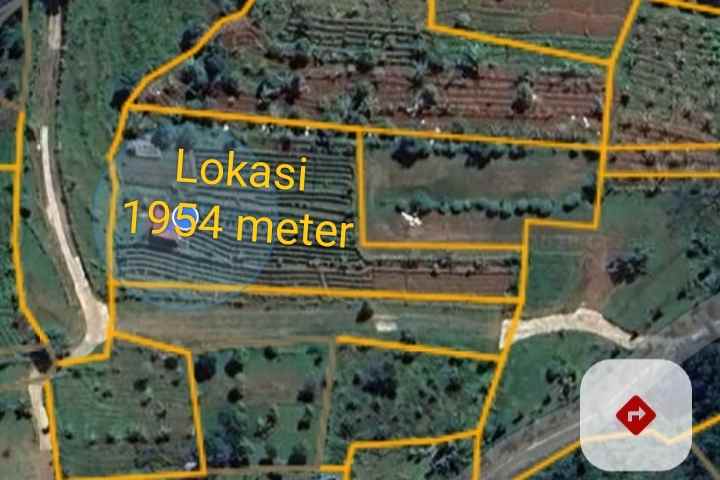 dijual tanah kebun khusus buat invest perkebunan