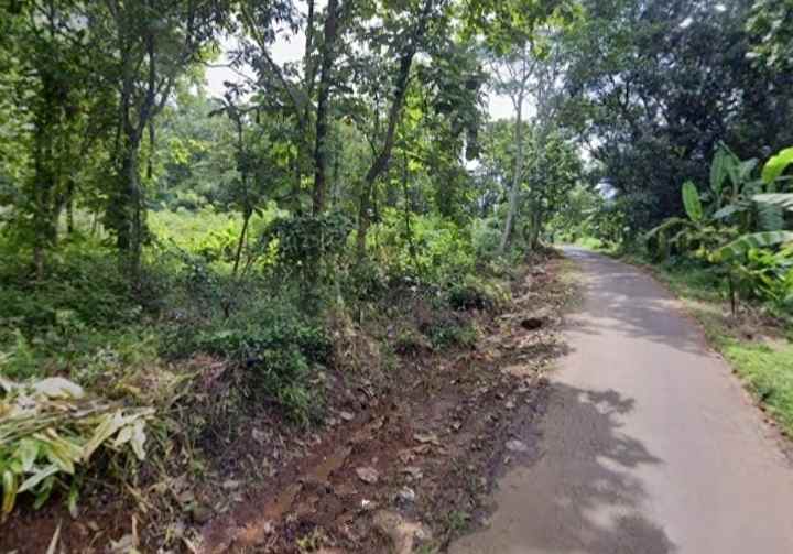 dijual tanah kebun pinggir jalan desa
