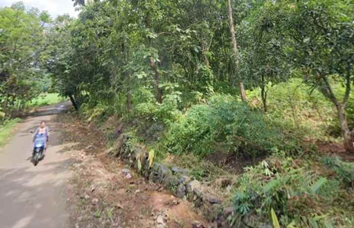 dijual tanah kebun pinggir jalan desa