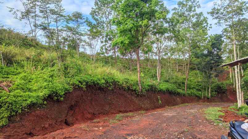 dijual tanah kebun produktif dan strategis