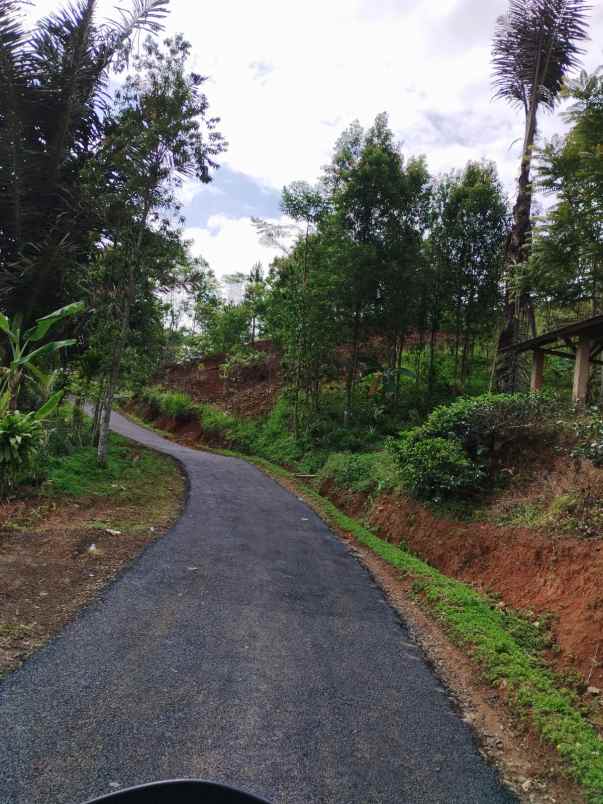 dijual tanah kebun produktif dan strategis