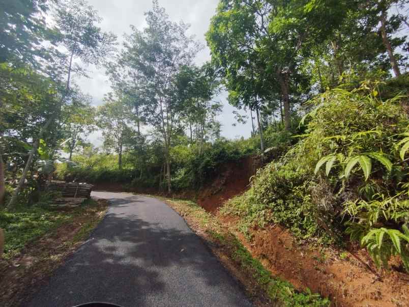 dijual tanah kebun produktif dan strategis