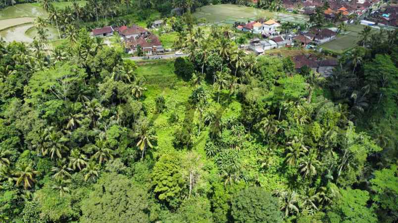 dijual tanah kenderan