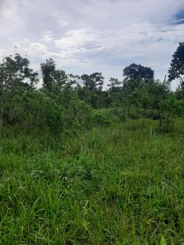 dijual tanah kintamani bangli bali