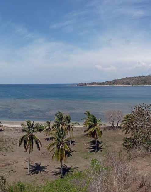 dijual tanah lokasi desa batu putih lombok barat