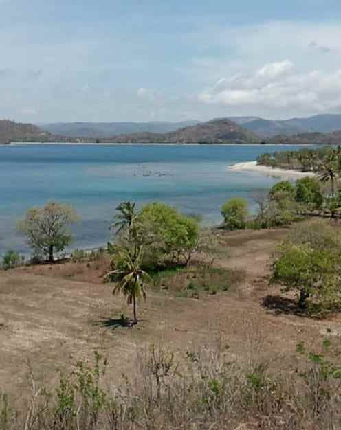 dijual tanah lokasi desa batu putih lombok barat