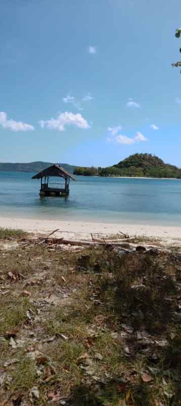 dijual tanah lokasi desa batu putih lombok barat