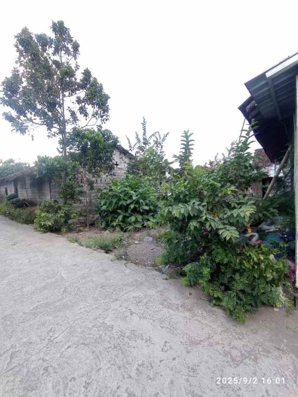 dijual tanah maguwoharjo