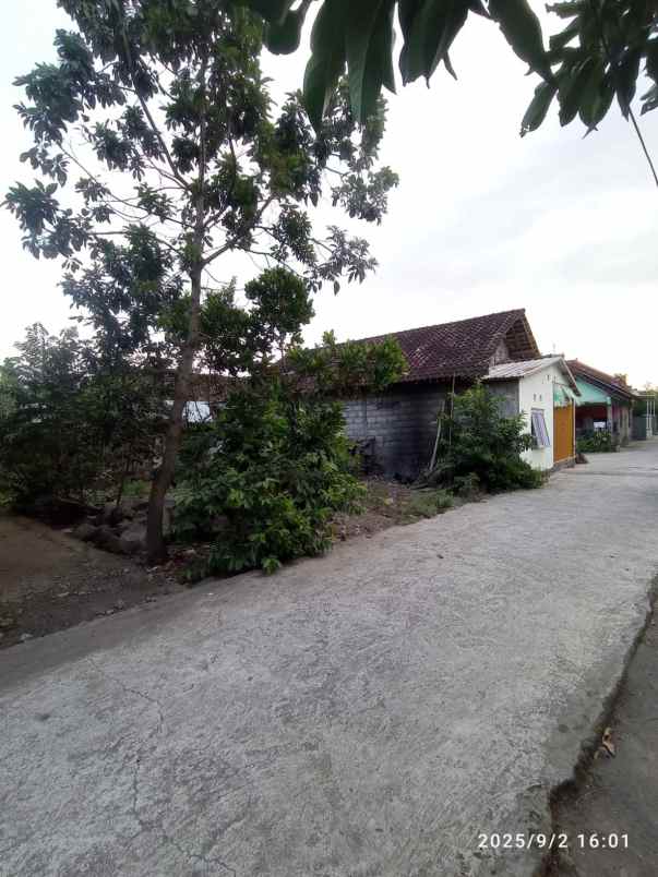 dijual tanah maguwoharjo