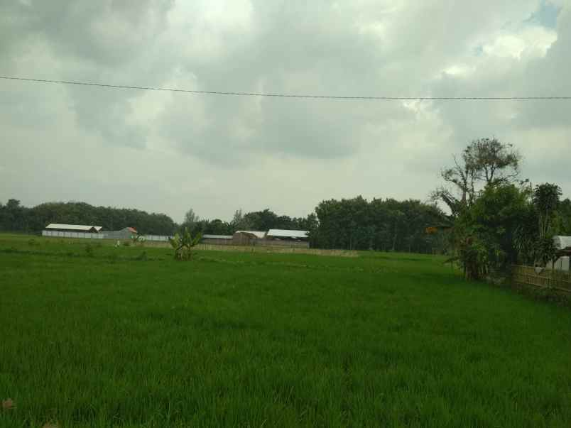 dijual tanah mojopuro sumberlawang