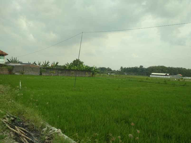 dijual tanah mojopuro sumberlawang