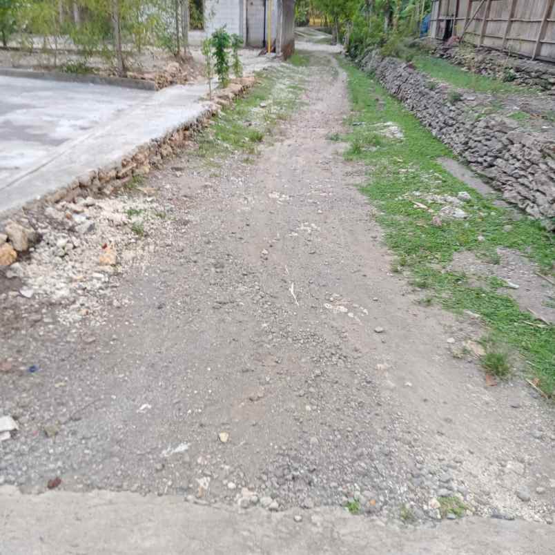 dijual tanah mojopuro sumberlawang sragen