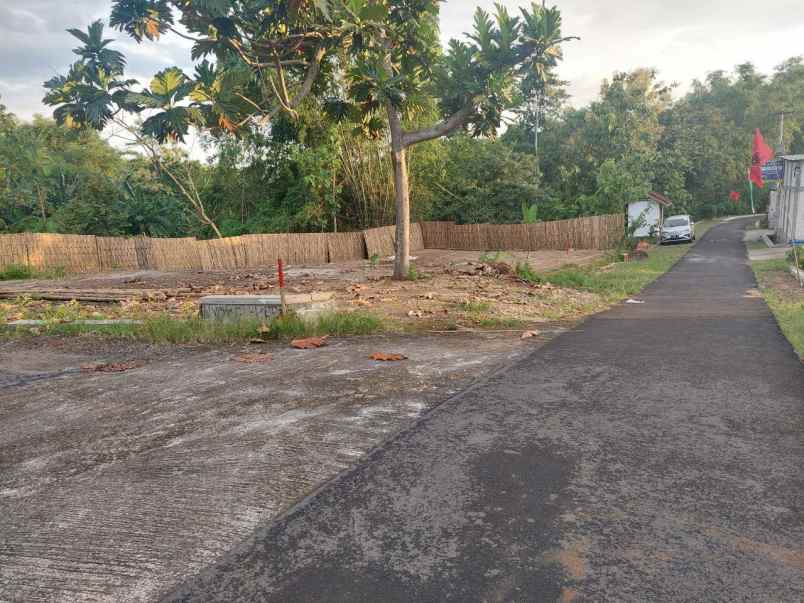 dijual tanah mojorejo mulur bendosari