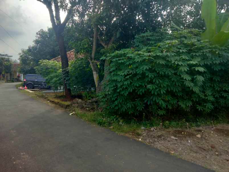 dijual tanah murah lingkungan penduduj