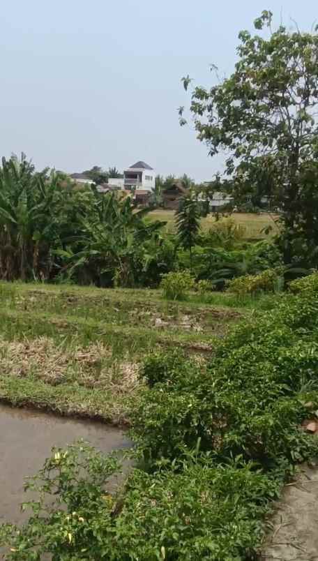 dijual tanah nyitdah kediri tabanan bali