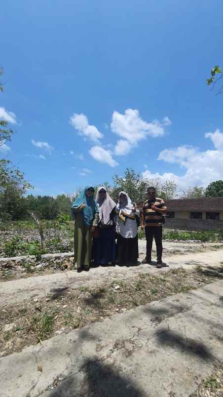 dijual tanah pacarejo semanu gunung