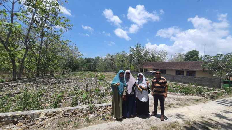 dijual tanah pacarejo semanu gunung