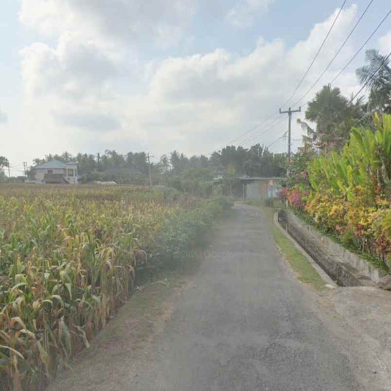 dijual tanah pantai pasut