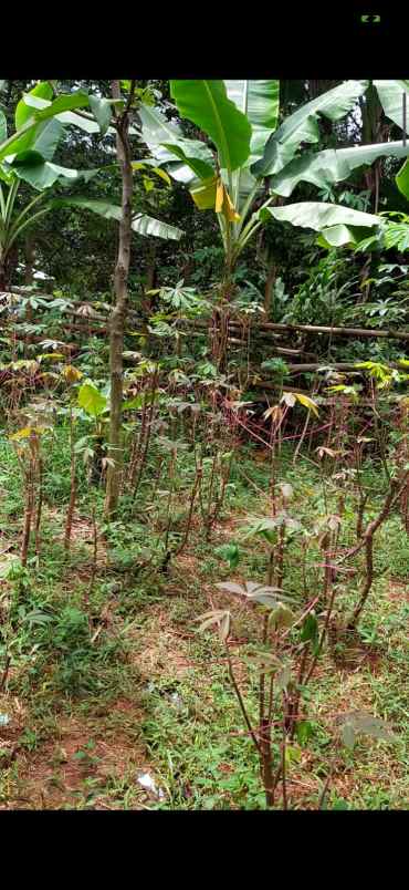 dijual tanah perum pabuaran asri