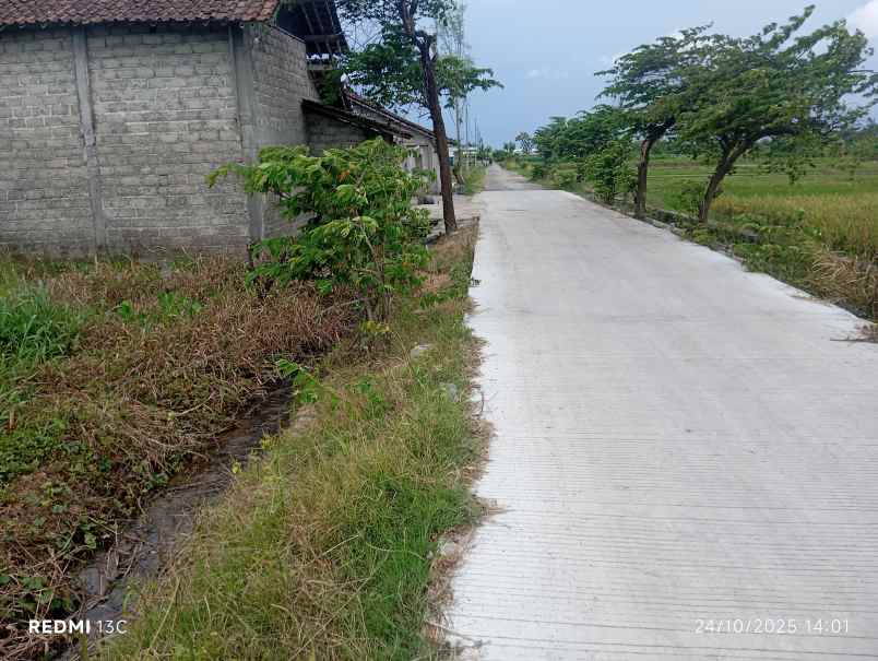 dijual tanah peternakan 1700m2 polanharjo klaten 350jt
