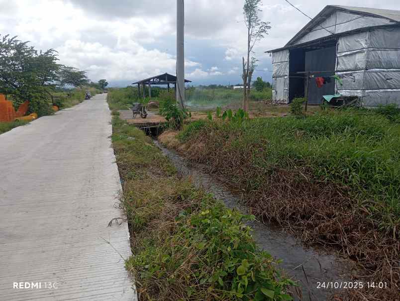 dijual tanah peternakan 1700m2 polanharjo klaten 350jt