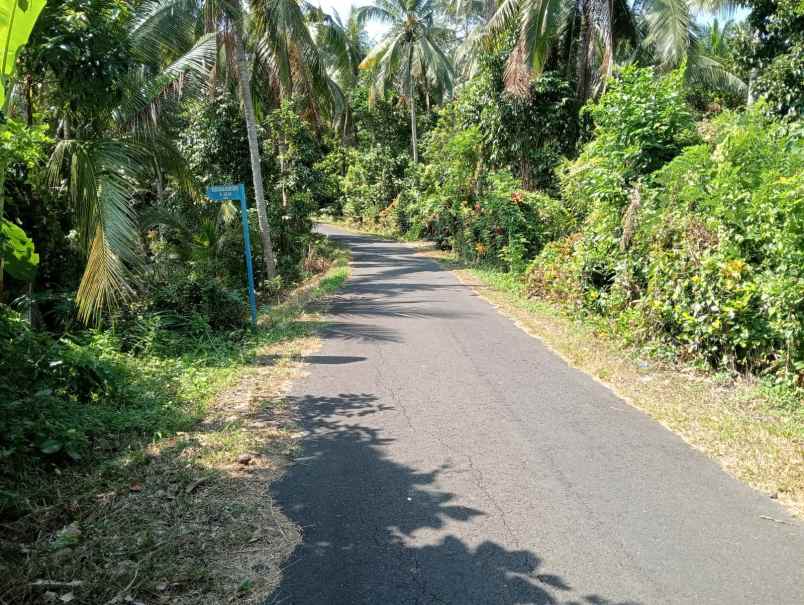 dijual tanah pinggir jalan hotmix dekat pantai balian