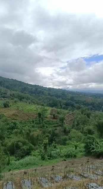 dijual tanah pinggir jalan raya