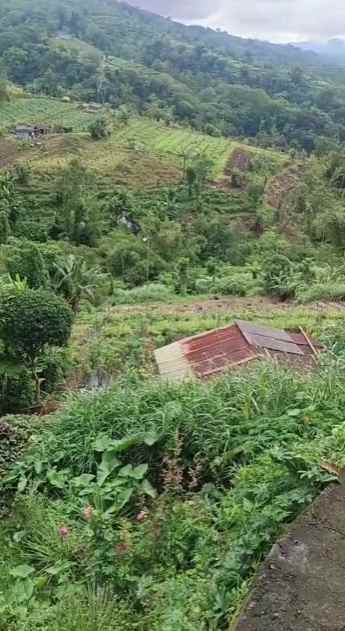 dijual tanah pinggir jalan raya
