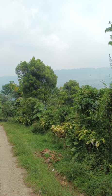 dijual tanah puncak 2 gunung batu ds