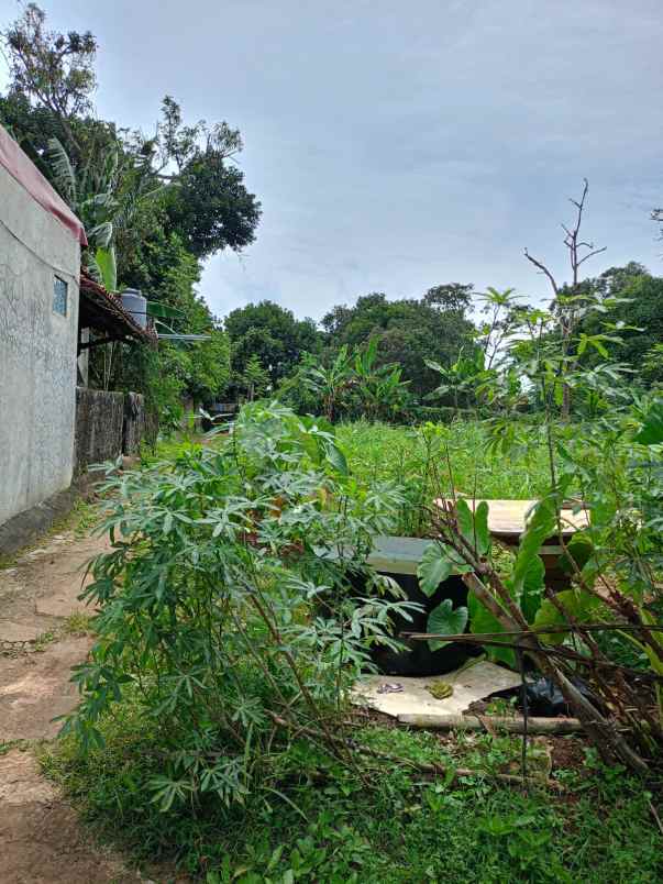 dijual tanah rangkapan jaya