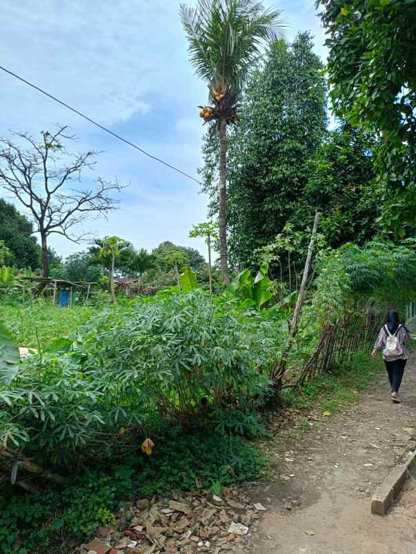 dijual tanah rangkapan jaya