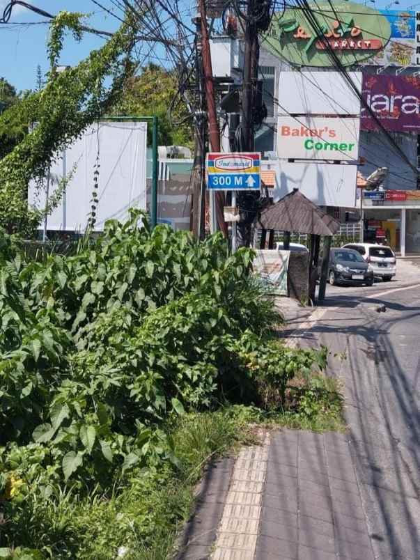 dijual tanah raya canggu
