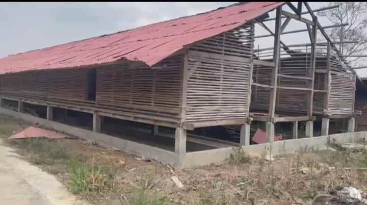 dijual tanah relung helok natar