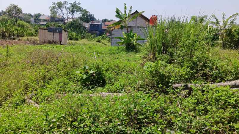 dijual tanah sendangmulyo
