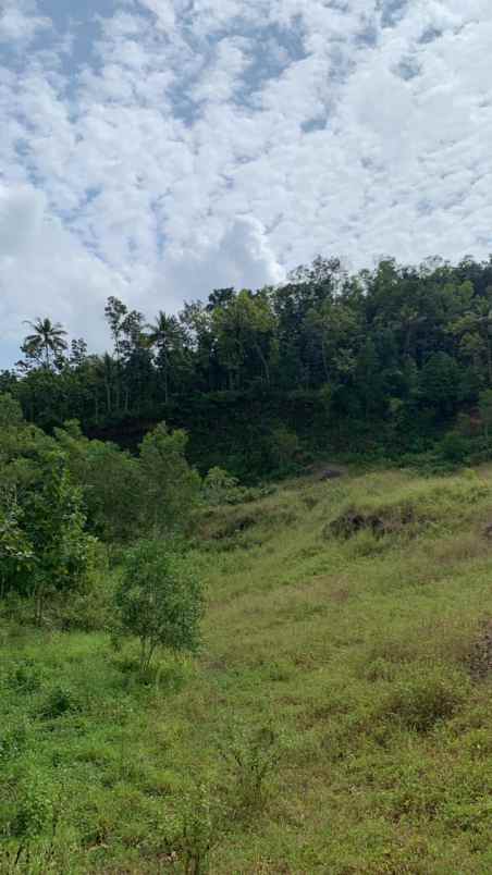 dijual tanah strategis di purworejo jawa tengah