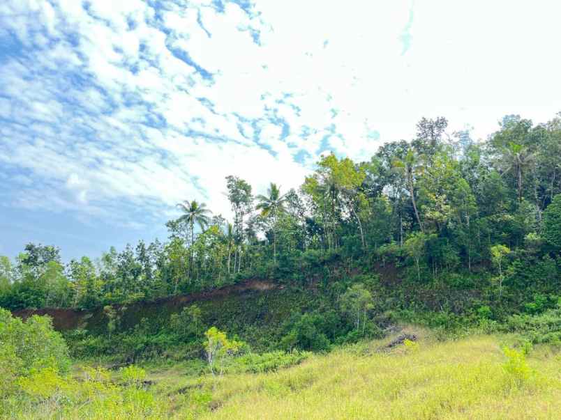 dijual tanah strategis di purworejo jawa tengah