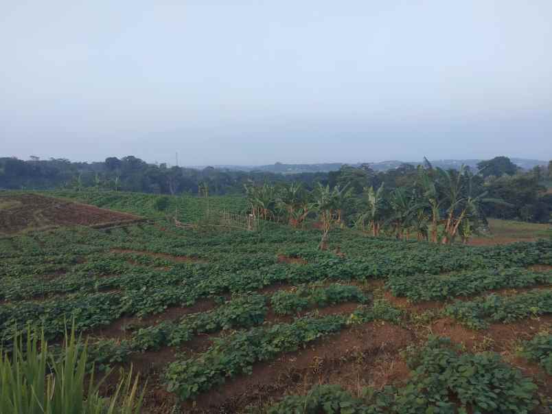 dijual tanah strategis view gunung di kuningan