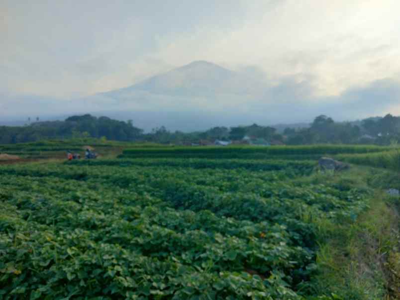 dijual tanah strategis view gunung di kuningan