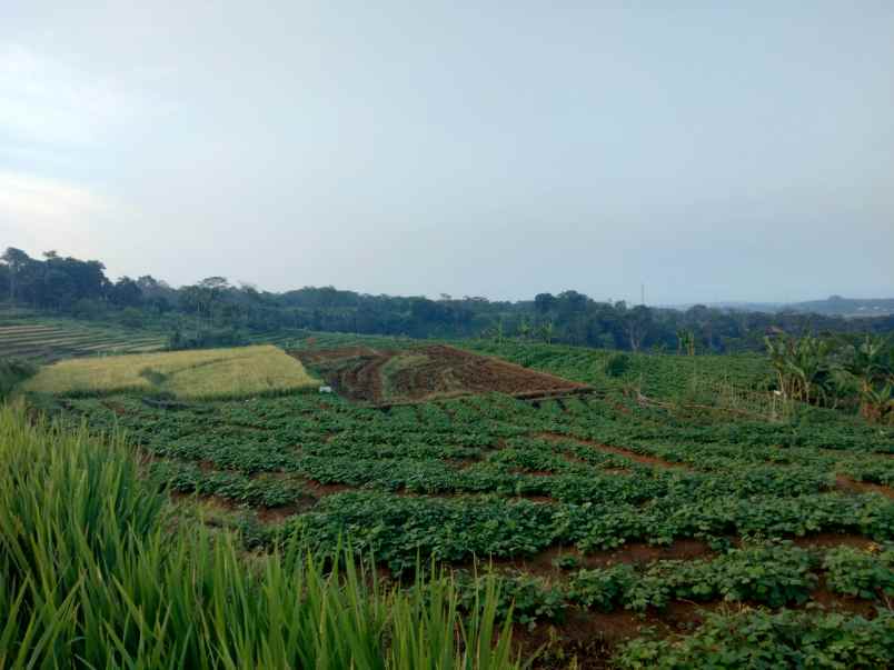 dijual tanah strategis view gunung di kuningan