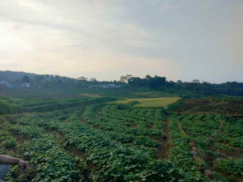 dijual tanah strategis view gunung di kuningan