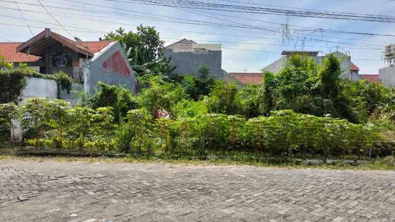 dijual tanah sutorejo