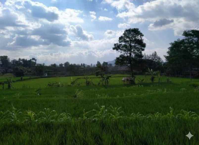 dijual tanah tanjungwangi pacet