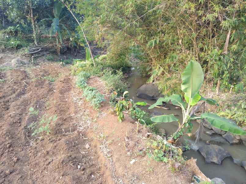 dijual tanah tarikolot dkt kbbeber