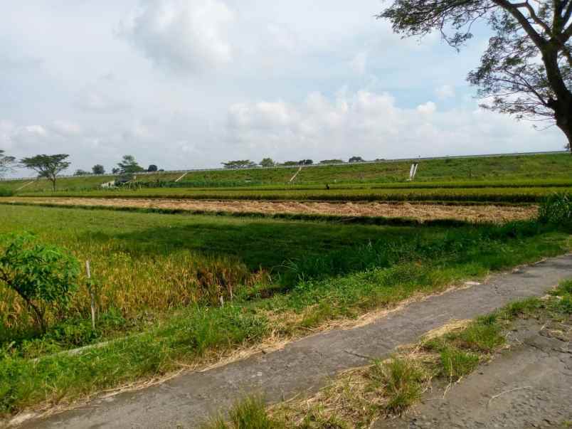 dijual tanah taskombang manisrenggo