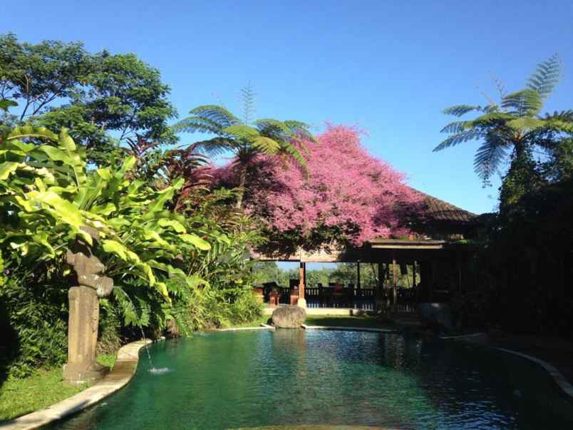 dijual villa jl raya payangan kerta kec