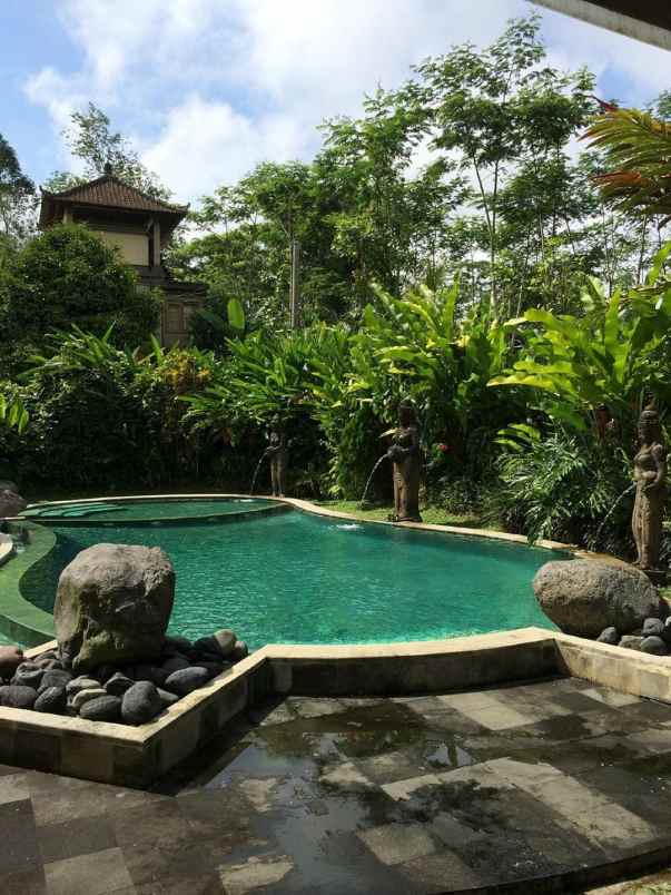 dijual villa jl raya payangan kerta kec