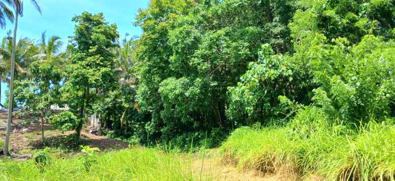 disewakan tanah dekat pantai bonian