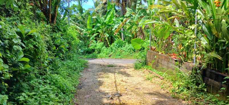 disewakan tanah dekat pantai bonian