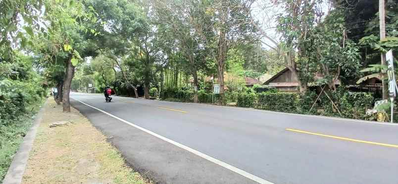 disewakan tanah jalan denpasar gilimanuk